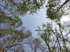 -田园东方蜜桃村的田野营地