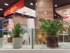 -嘉和一品粥(马家堡店)