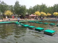 -杨柳青庄园