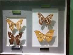 -上海昆虫博物馆