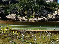 -厦门方特梦幻王国