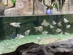 -石家庄海洋公园