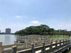 -顺峰山公园