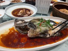 清蒸老虎斑-西贝海鲜汇(槐安路店)