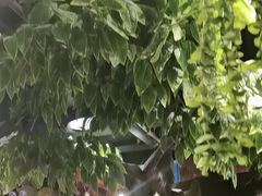-城墙拐拐火锅(三峡广场黑金冠店)