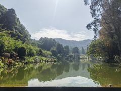 -深圳仙湖植物园