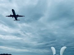 -空港花田景区