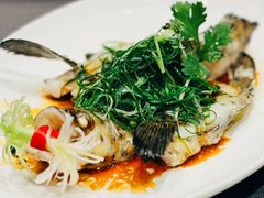 花椒蒸老鼠斑-金悦轩海鲜酒家(拱北店)