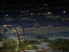 -自贡恐龙博物馆