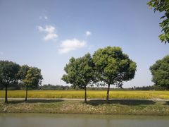 -嘉北郊野公园