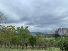-牛岗山公园