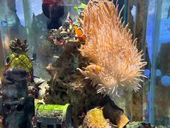 -太平洋海底世界