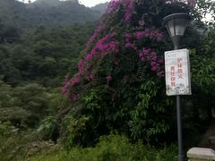 -太和古洞