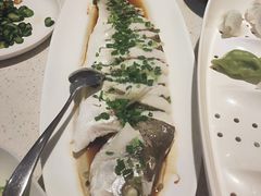 -船歌·鱼水饺青岛菜(金狮广场店)