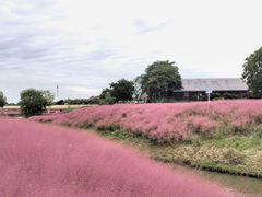 -江苏三台山国家森林公园
