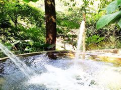 iphone_upload_pic-柏联酒店