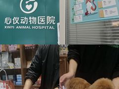 -心仪动物医院·牙专科·肿瘤·心脏科(西客站院)