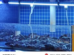 -三子烤羊腿·海鲜(弘阳店)