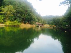 -韶山毛泽东同志故居