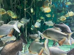 -福州罗源湾海洋世界旅游区