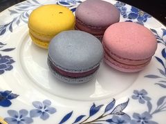 -海豚湾·大堂吧(厦门佰翔波特曼七星湾酒店)