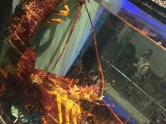 -金唐海鲜酒家