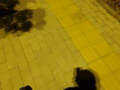 -廊坊市自然公园