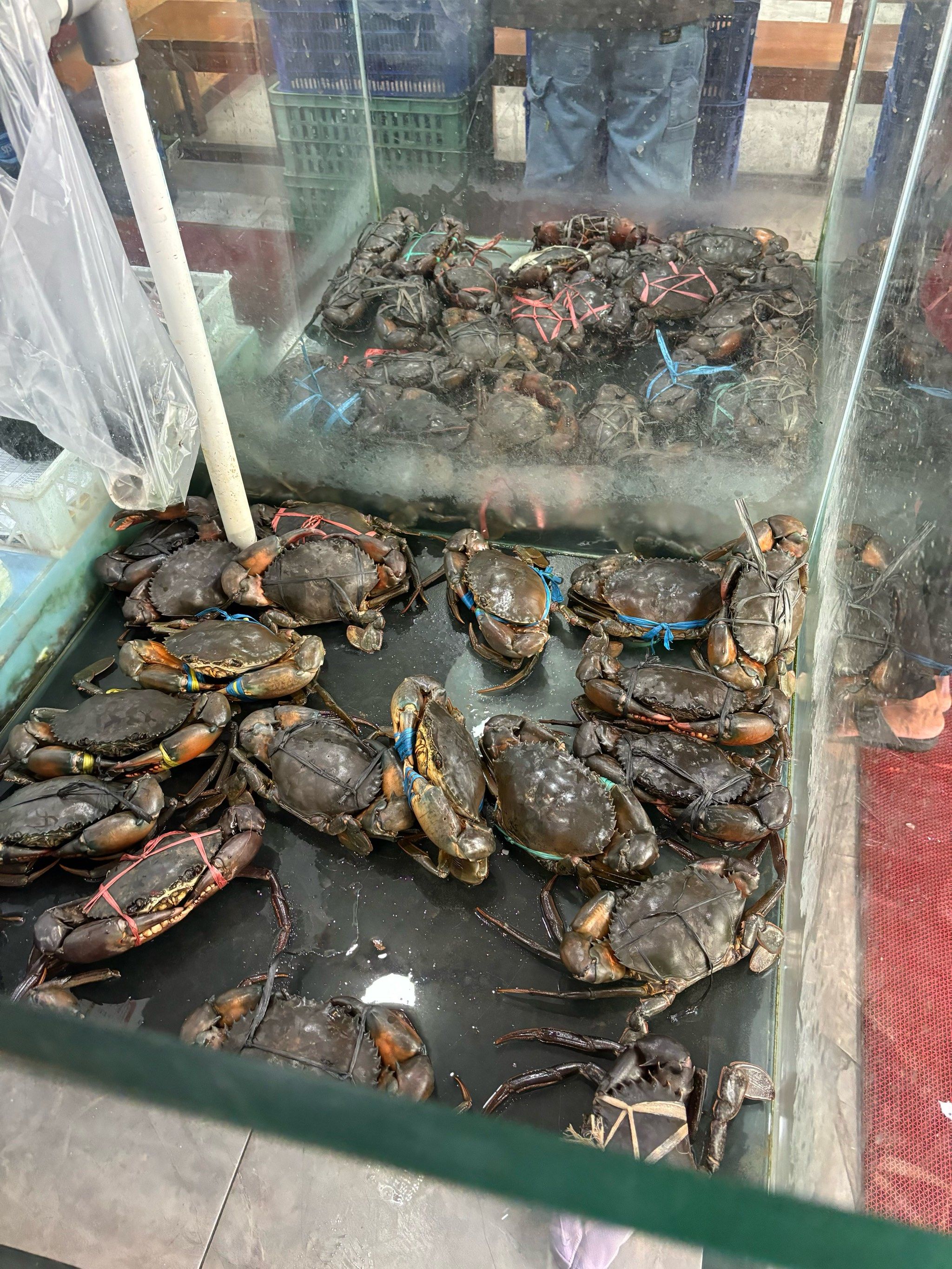 青蟹