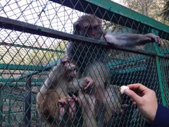 iphone_upload_pic-藏龙百瀑风景区