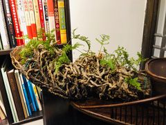 -德迹斋禅意文化茶馆·茶空间·商务洽谈•宴席(桃园店)