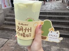 -猫的魔法密林(衣裳街店)