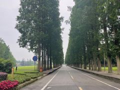 -青城山