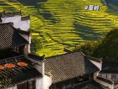 -婺源风景区