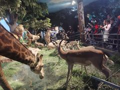 -国家自然博物馆