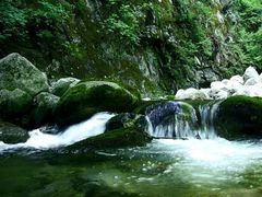 -黑河国家森林公园