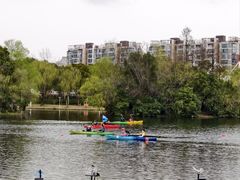 -新江湾城公园