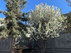 -西宁市东关清真大寺