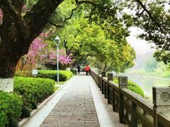 -红城阁·上海味道(四平路店)