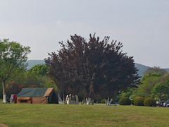 -钟山体育运动公园