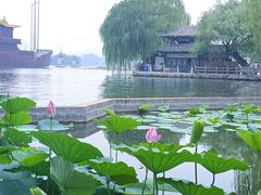 -济南大明湖景区