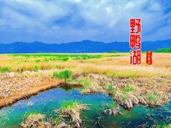 -野鸭湖国家湿地公园