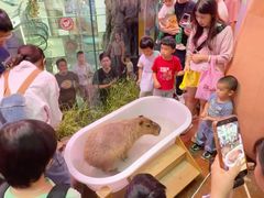 -正佳雨林生态植物园