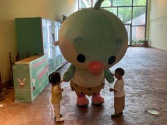 -杭州开元森泊度假乐园