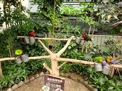 -南宫五洲植物乐园