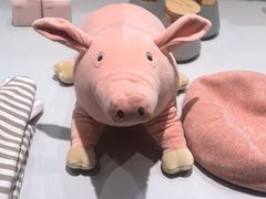 -天虹购物中心(石路店)