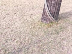 -西安曲江寒窑遗址公园