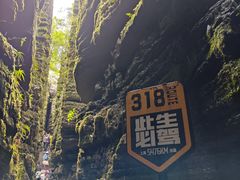 -梭布垭石林景区