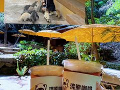 -昆明青龙峡风景区