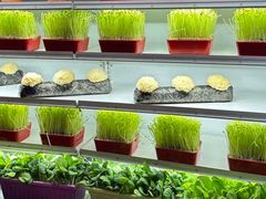 -番食园鲜食火锅(高新店)