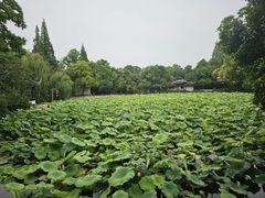 -南浔古镇